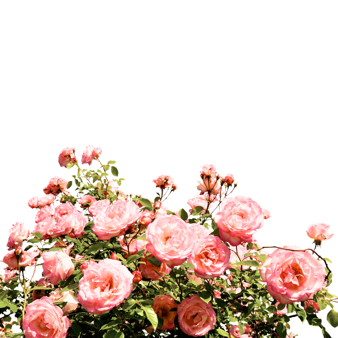 Decorative floral accent