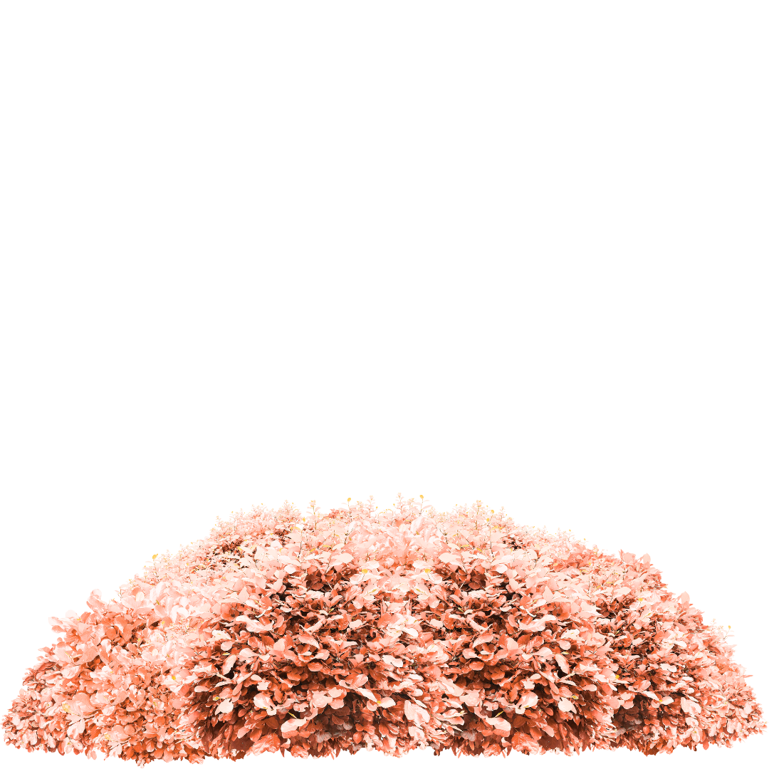 Decorative floral accent